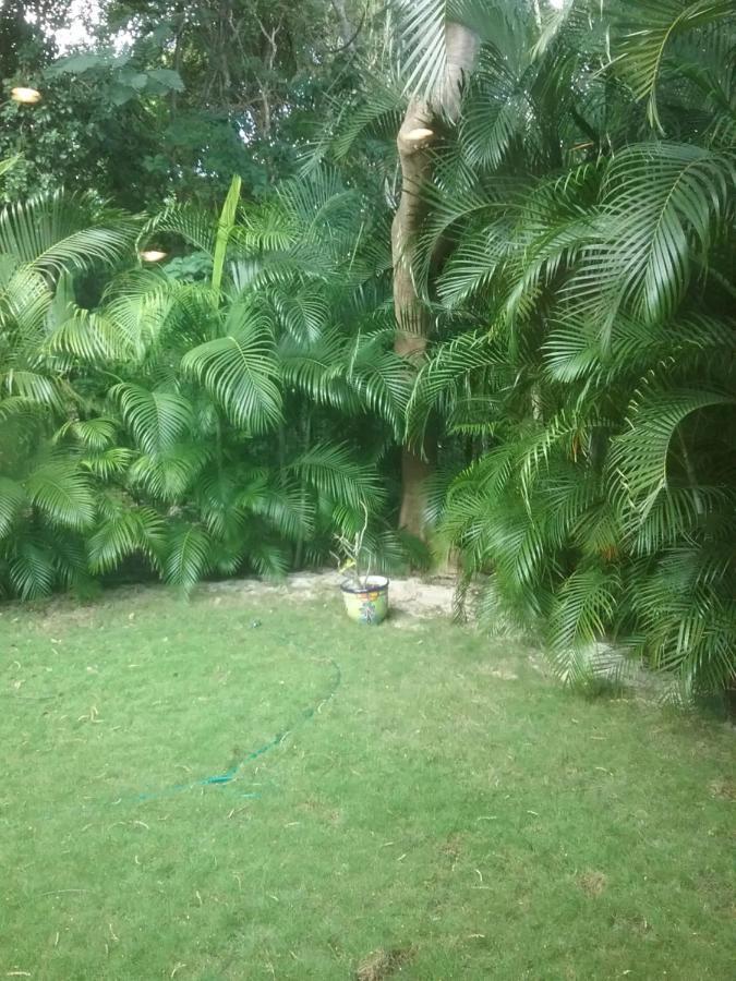 Casa Rioja Playacar Bed and Breakfast Playa del Carmen Exterior foto